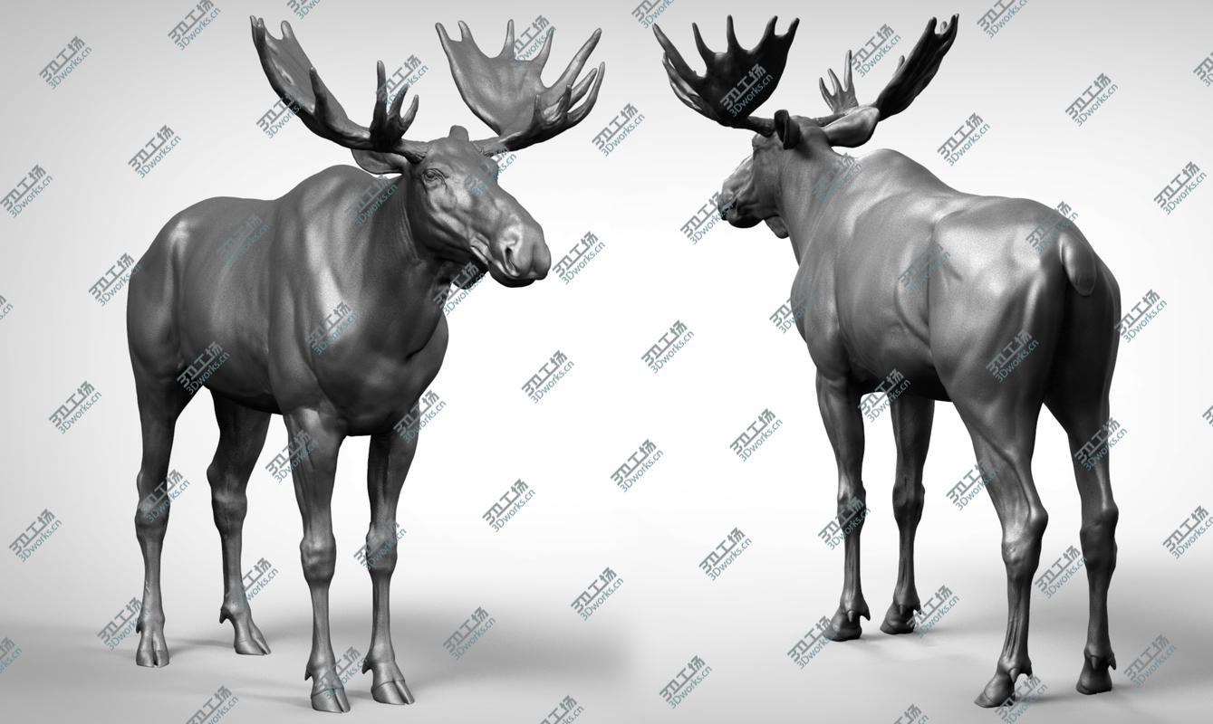 images/goods_img/202104092/3D Moose model/3.jpg